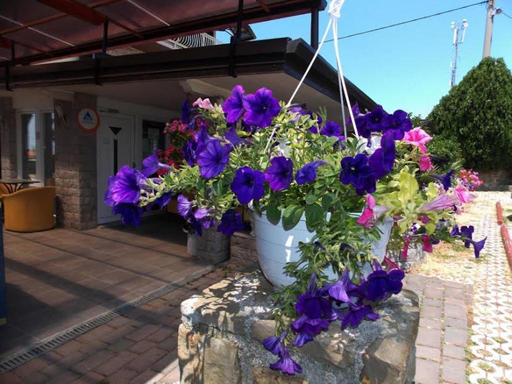 Hostel Panorama Portoroz Exterior photo